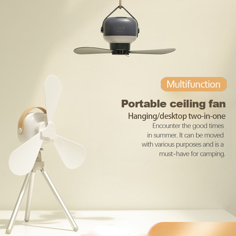 Small ceiling fan